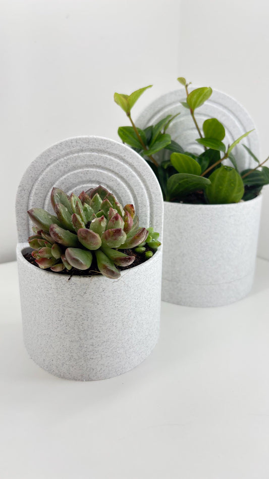 Arch Planter Bookend